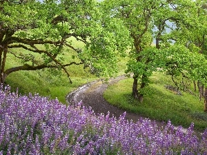 trees, lupine, Way, viewes, Violet