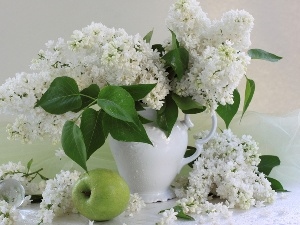 Vase, apples, White, Lilacs