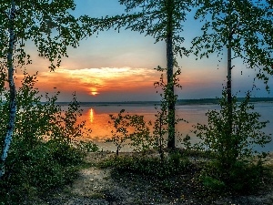 viewes, sun, trees, lake, birch, west