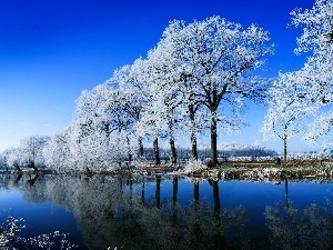 viewes, trees, winter, lake