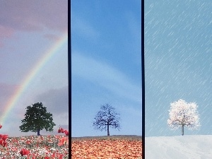 Seasons, year, four